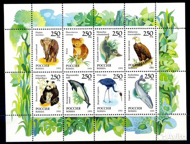 Фауна мира. 1993 год