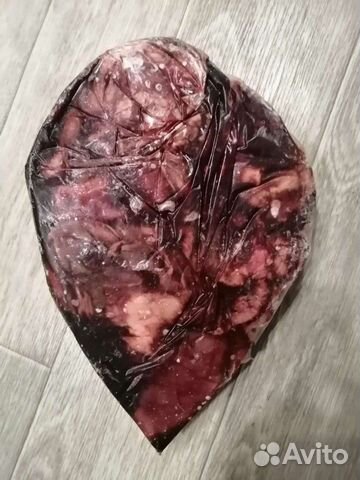 Обрезь корм мясо для собак Оленина