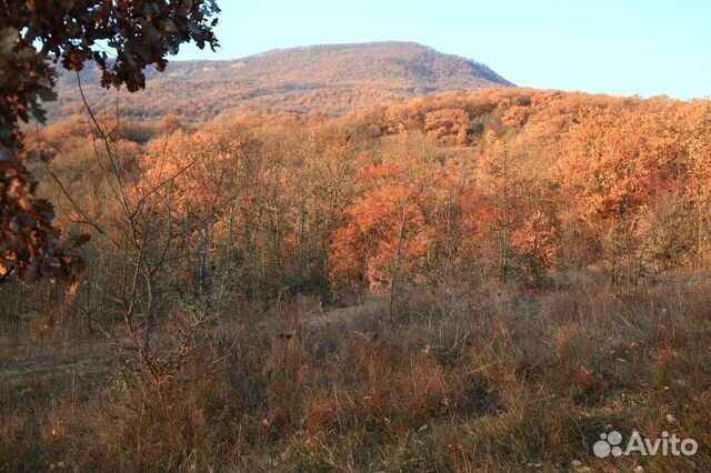 Участок 85 сот. (ИЖС)