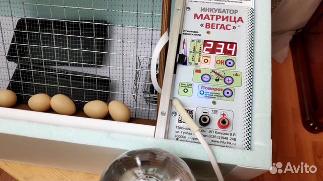 Инкубатор матрица Вегас