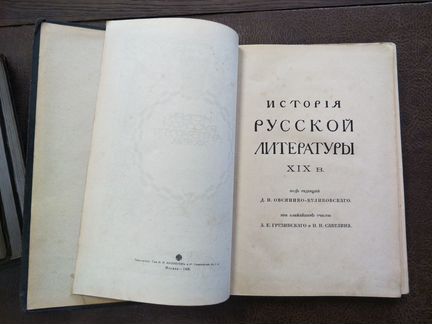 История русской литературы XIX века
