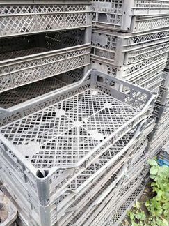 Пластиковые ящики бу