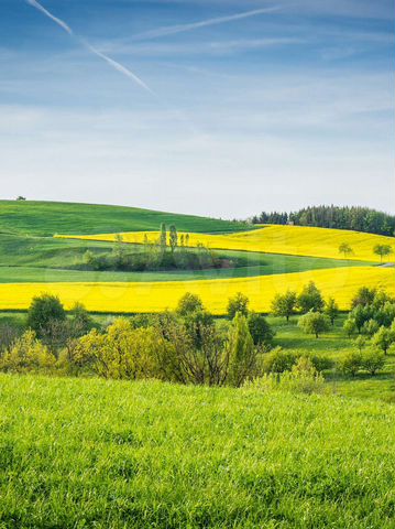 Участок 6,9 га (СНТ, ДНП)