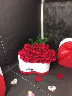 Розы 25 шт красные высокие