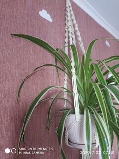 Кашпо в технике макраме