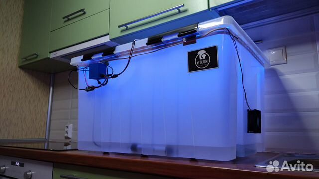 Парник инкубатор для грибов bigbox