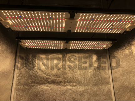 Quantum Board Samsung LM301H 480w