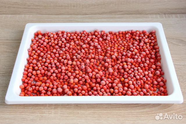 Замороженная красная рябина