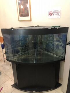 Аквариум угловой 500 литров