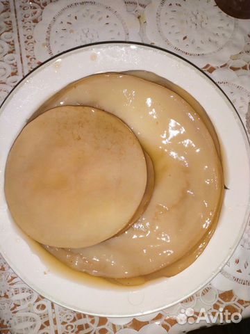 Чайный гриб