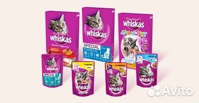 Корм для животных