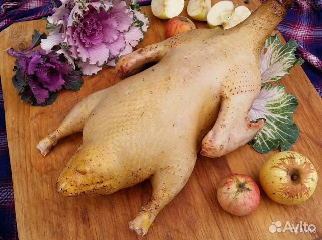 Домашнее мясо птиц (гусь,утка,индо-утка,бройлер)