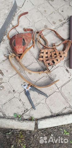 Стойка для кормления собак, намордник, ошейник