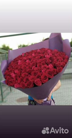 Розы 101, 51, 31, 25 шт. Доставка