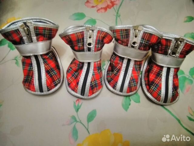 Одежда и обувь для большой собаки