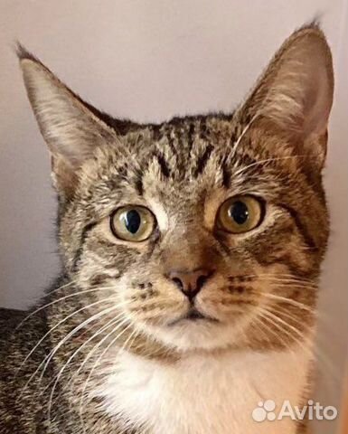 Чудесная малышка из приюта ищет маму