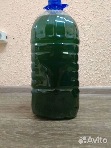 Хлорелла живая