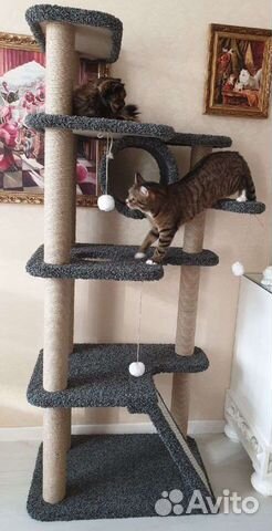 Когтеточка, домики котенка, кошка