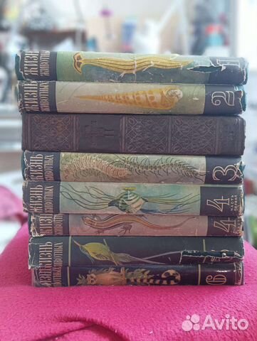 Энциклопедия Жизнь животных