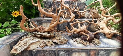 Коряги,грунт