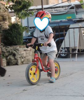 Беговел Puky LR 1L BR Красный