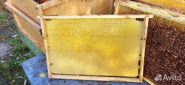 Сушь рамки для пчел
