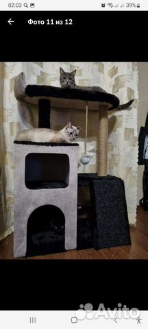 Когтеточка,домик для кошки,комплекс
