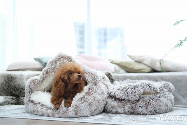 Домик лежанка для кошек собак щенков котят хорьков