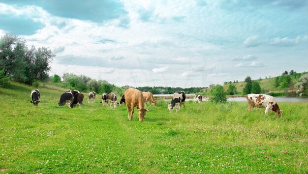 Участок 100 сот. (СНТ, ДНП)