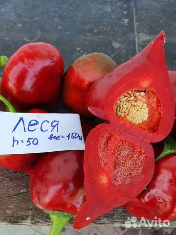 Семена коллекционых сортов перца