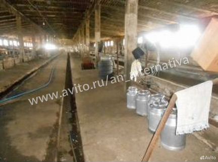 Производственное помещение, 800 м²