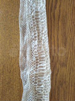 Выползок змеи