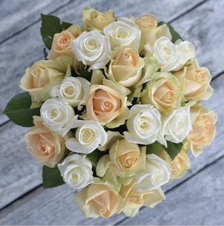 25 кремовых и белых роз