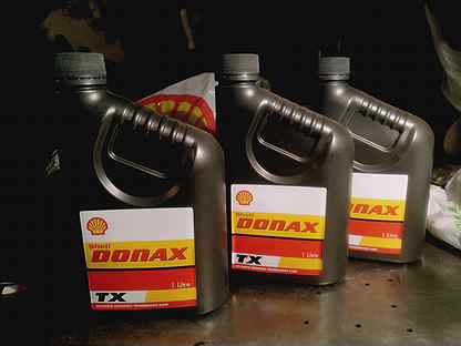 Shell donax