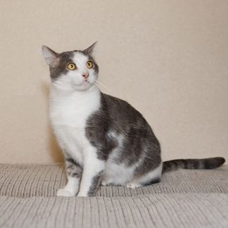 Сёмочка ищет самый лучший дом