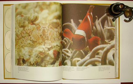 О.Тэннер, Способы защиты у животных