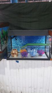 Новый акватеррариум 71x36x45 с тумб. Беспл. доста