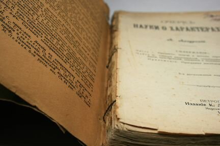 Личная книга наркома Ежова. Сталинистский нарком