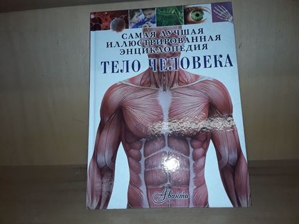 Гибберт Клэр. Тело человека