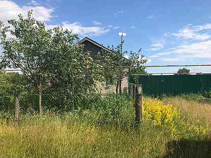 Чердаклы ульяновская область улица колхозная дом 79. Погода село поповка чердаклинский ульяновская область. Чердаклы центральная улица. Погода село поповка чердаклинский ульяновская область. Погода село поповка чердаклинский ульяновская область.