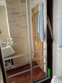 Двери купе зеркальные 224*57