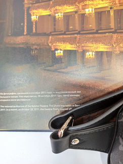 Сумка Louis Vuitton Поясная