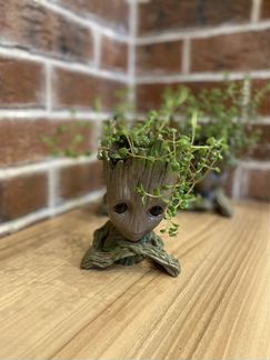 Цветок в красивом оформлении (оригинальный подарок